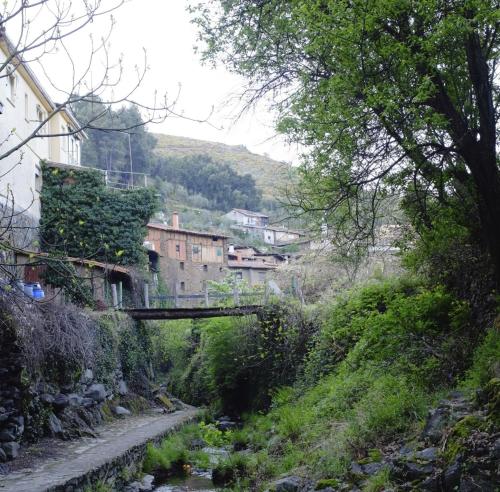 Casa Rural La Ortiga - image 7