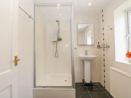 Glan Felin - image 13