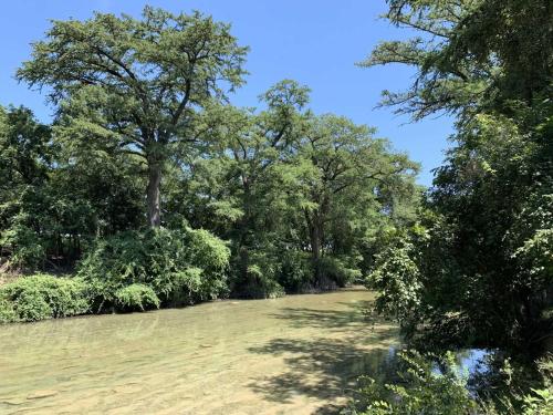 Lambert Park on Medina River in Bandera, USA