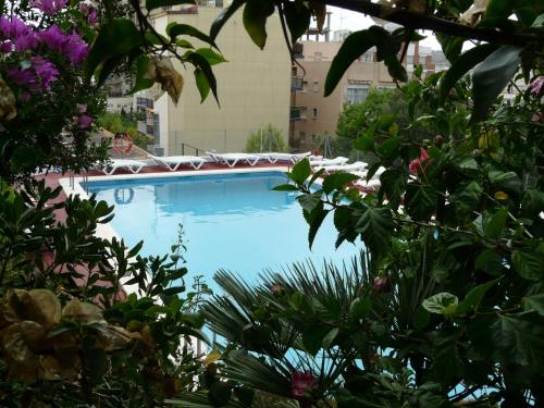 Hotel Jardín - image 11