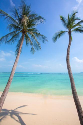 Chaweng Regent Beach Resort - SHA Extra Plus photo 1