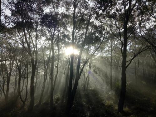 สภาพแวดล้อมโดยรอบ, Macedon Ranges Glamping in มาเซดอน
