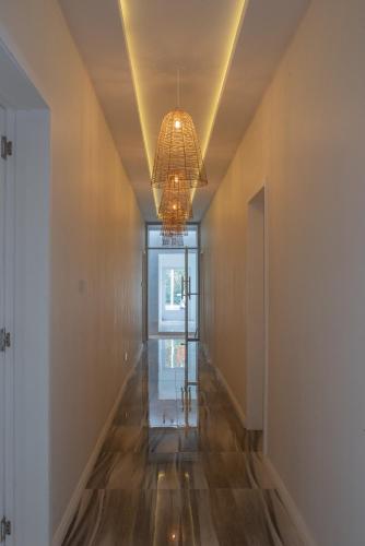 LeCosyCanonniersStudio1