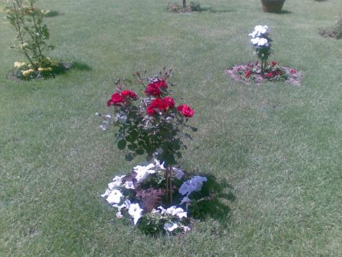 Pension Perla Bucovinei - image 8