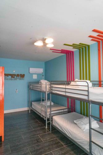 Beds n' Drinks Hostel Room Type - Single Bed in 6-Bed Female Dormitory Room