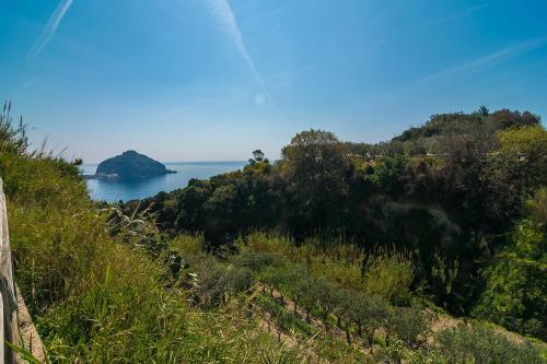 Hotel Villa Fumerie - image 10
