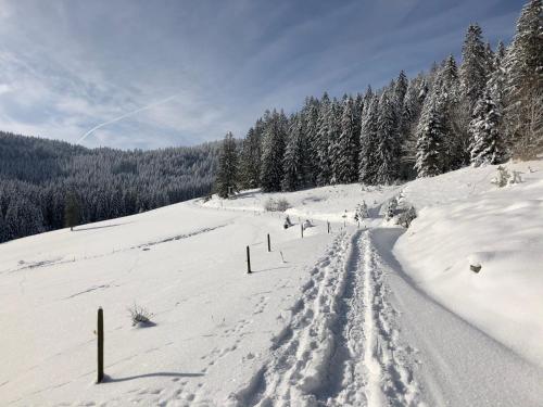 Naturparkhotel Schwarzwaldhaus