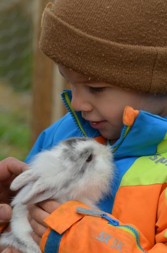 Fugger Alm Fugger Alm