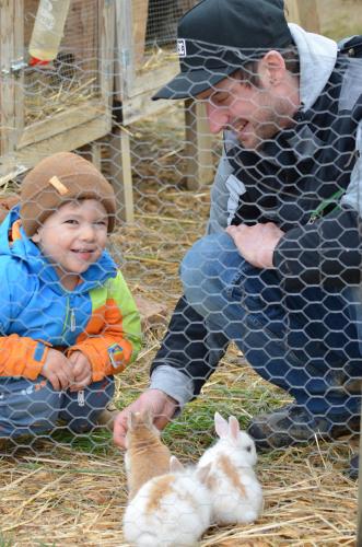 Fugger Alm Fugger Alm