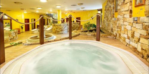 Spa Hotel Bily Horec - image 5