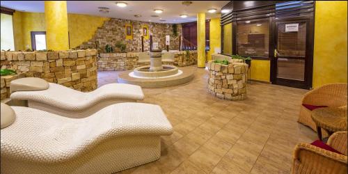 Spa Hotel Bily Horec - image 11