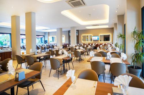 Julian Marmaris - image 8