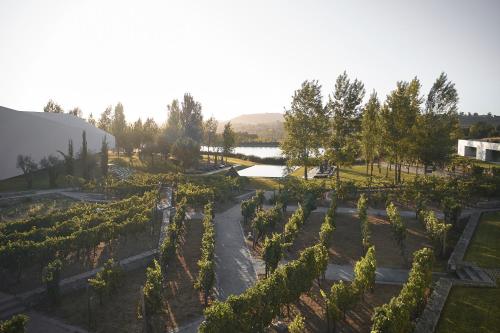 Foto - L'AND Vineyards