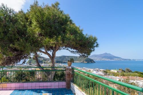 Hotel Riviera - image 3