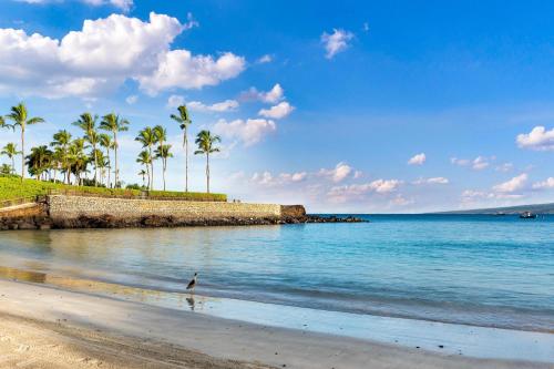 Fairways at Mauna Lani #1703