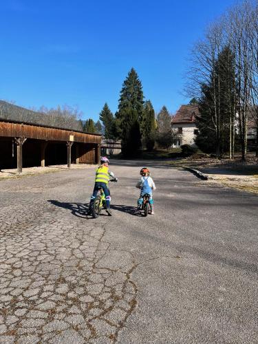 Ferme des Jonquilles 15p - billard, PS4, salle de sport