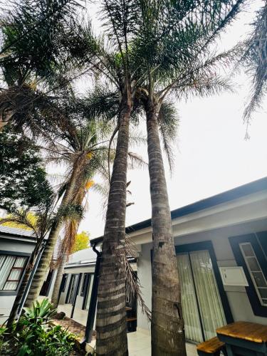 6 on Columbus Guesthouse, Edenvale (zdjęcie 8)