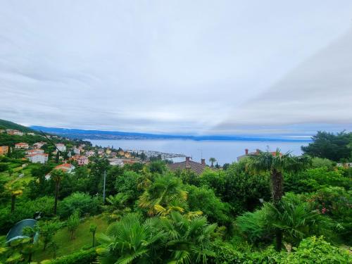A környék, Apartment Hana in Ičići