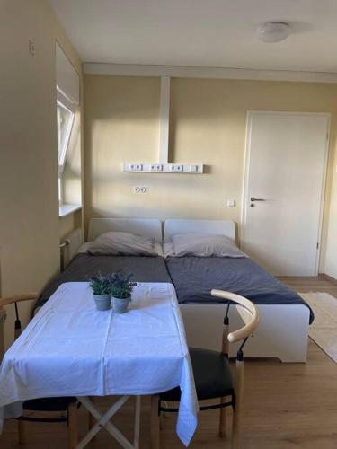 B&B Berlin - Einzimmerwohnung + Dusche und WC - Bed and Breakfast Berlin