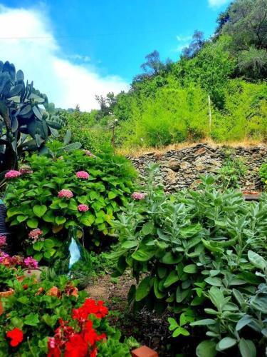  Il limoneto dei Cinque Sensi,apartment with garden in Vernazza