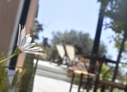  Anemos - Holiday Beach Houses in Keratókambos