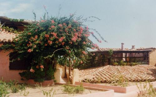  Occasione nel cuore di Porto Cervo in Berchiddeddu