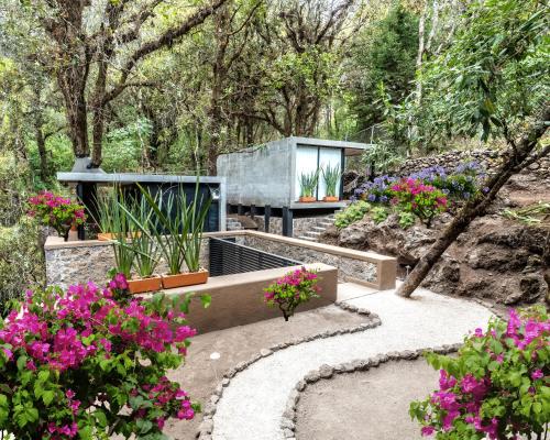Fungi Tepoz Cabins - San Juan Tlacotenco