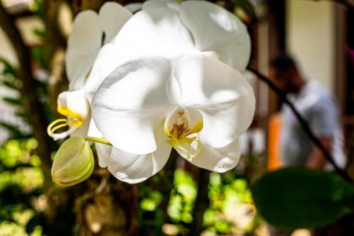 Casa de Violeta Pousada