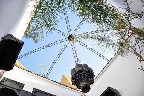 Riad Dowaya - Tap to explore photos