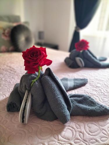 Red Roses Domus Rome, Рим (фото 5)