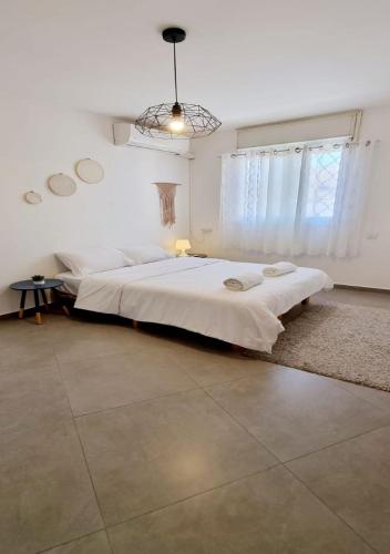 bloom, Eilat (photo 5)
