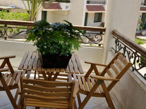 شالية للايجار في قرية كونكورد رويال بيتش راس سدر, Ras Sedr (fotografie 10)