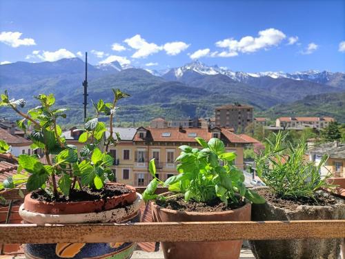 Appartamento in bassa montagna a Bussoleno - Apartment