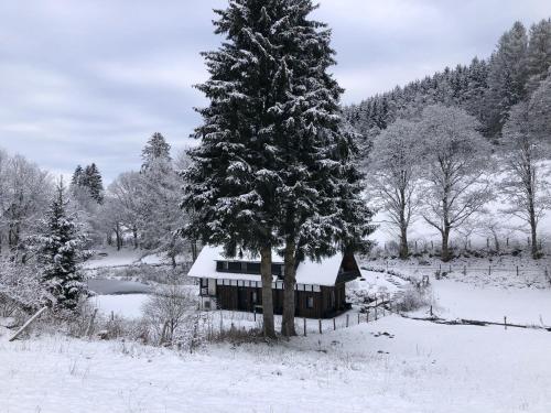 Cozy holiday home in a unique location in Winterberg