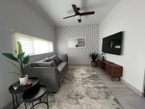 Consulado Home - Las Palmas Colonia, TX