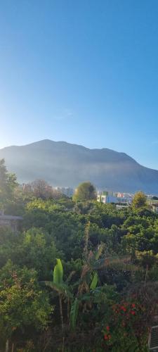  SOFIA in Kalamata