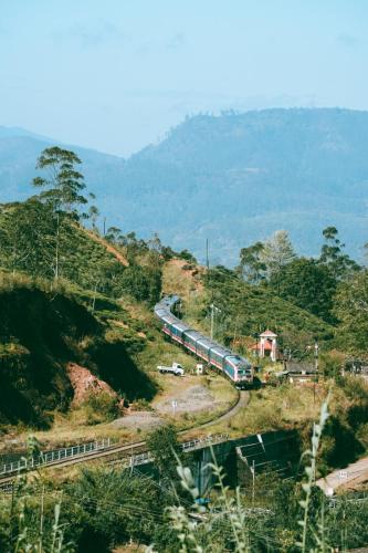 The Train View in Nuwara Eliya