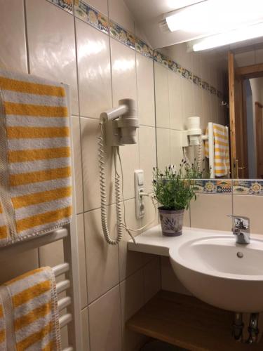 Gasthof Botenwirt - image 13