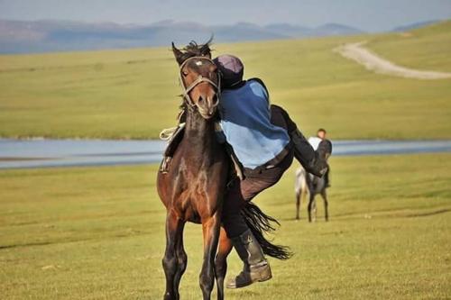 Yurt Camp "Sary-Bulun" at Song-Kul Lake, Naryn