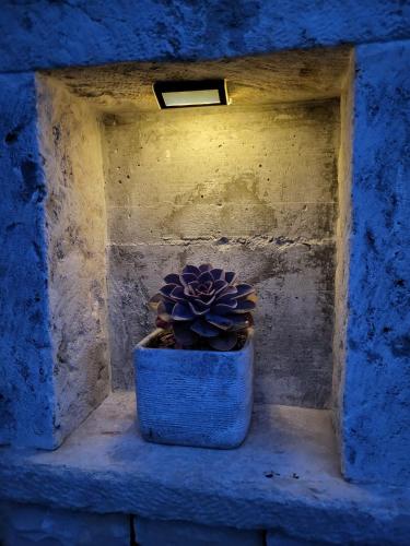 Korčula - apartman 1, Prigradica - IVAN, Blato (fotografie 9)