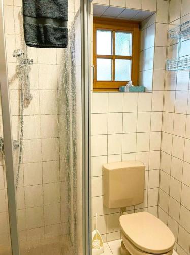 Arberflimmern in Bodenmais, Deutschland