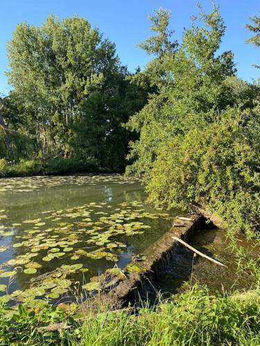 Grange rénovée d'exception entre Perche et Beauce