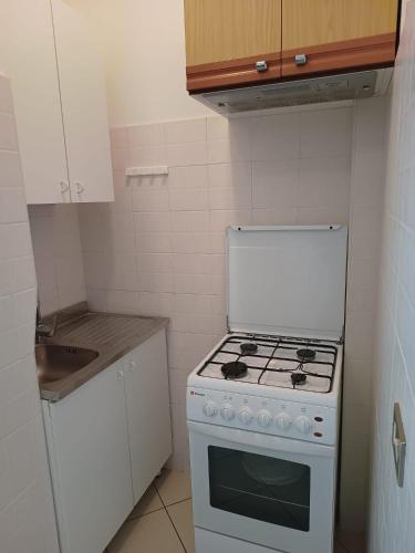One-Bedroom Apartment image 9