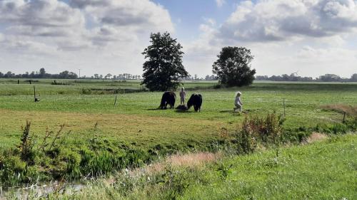 vakantiehuisje De achte