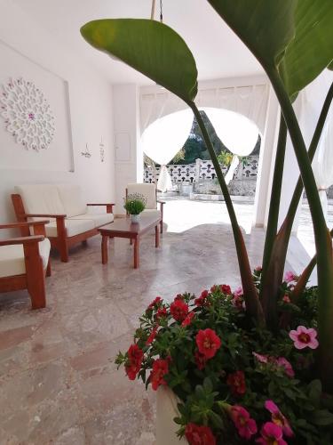 Casa Diamante, a 50mt dal mare 2