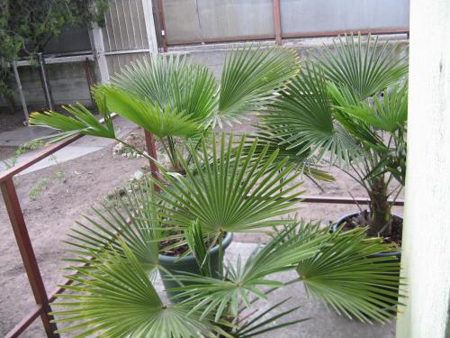  Kárpáti Motel in Budapest