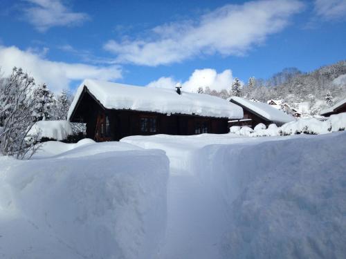 Le Petit Skieur B&B