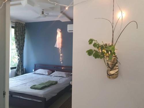 Palolem Comfy and Cozy Apartment