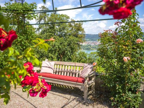 Schloss Freudenfels