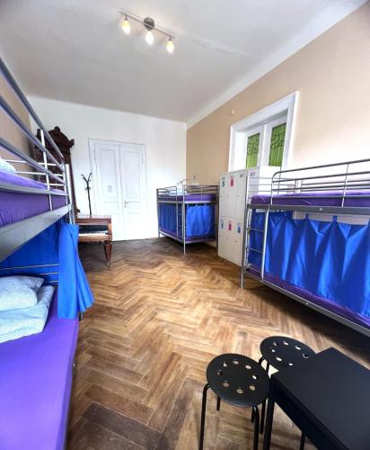 Travel&Joy backpackers - image 2